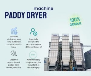 Paddy Dryer Machine