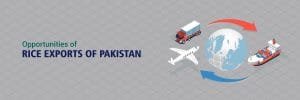 Opportunities-of-Rice-Exports-of-Pakistan-Alkaram-rice-engineering-pvt-ltd