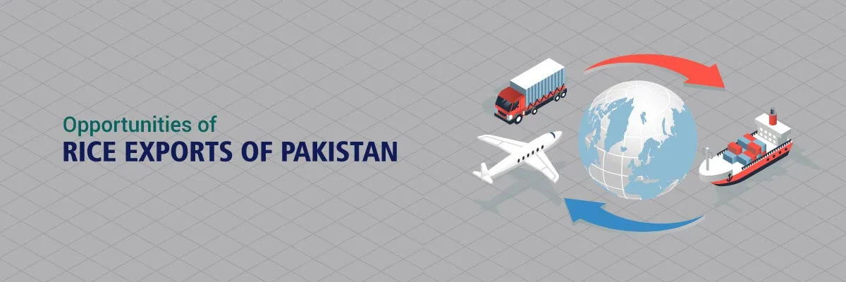 Read more about the article Opportunities of Rice Exports of Pakistan