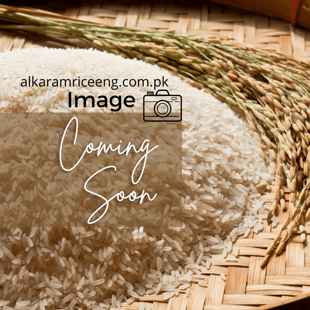 Rice Parboiling Plant